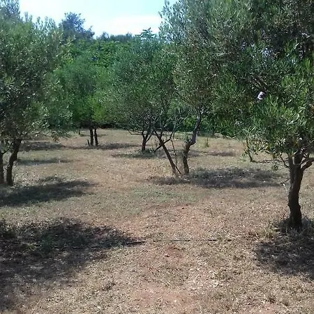 Casa Verde *