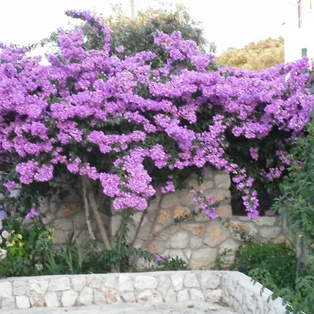 Casa Verde Mali Losinj